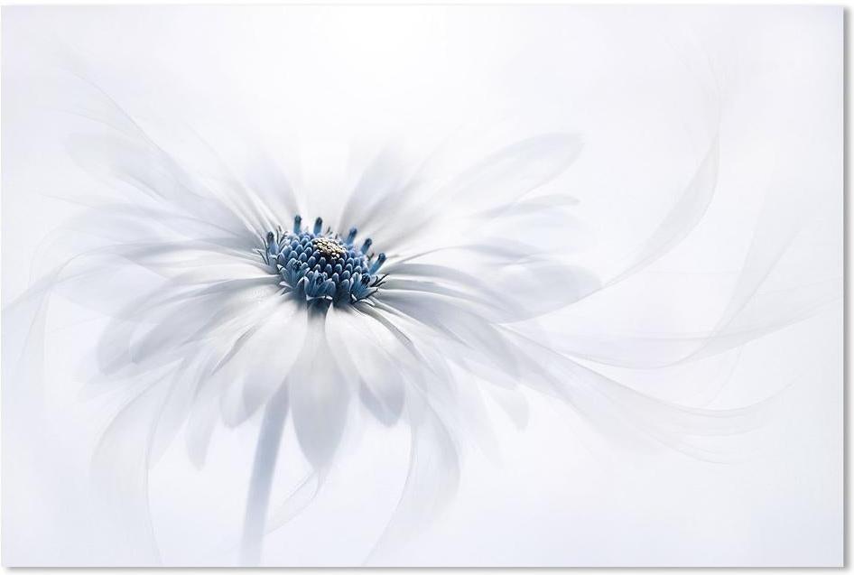 wall-art-print-canvas-poster-framed-Serenity, By Jacky Parker-by-Plus X Studio-Gioia Wall Art