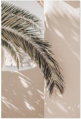 wall-art-print-canvas-poster-framed-Shadows Of A Palm-by-Gioia Wall Art-Gioia Wall Art