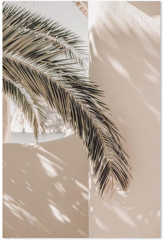 wall-art-print-canvas-poster-framed-Shadows Of A Palm-by-Gioia Wall Art-Gioia Wall Art