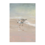 wall-art-print-canvas-poster-framed-Shorebird On The Sand, Style A & B, Set Of 2 , By Danhui Nai-GIOIA-WALL-ART