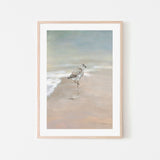 wall-art-print-canvas-poster-framed-Shorebird On The Sand, Style A , By Danhui Nai-GIOIA-WALL-ART