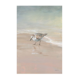 Shorebird On The Sand, Style B , By Danhui Nai