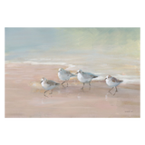 Shorebirds On The Sand , By Danhui Nai