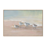 wall-art-print-canvas-poster-framed-Shorebirds On The Sand , By Danhui Nai-GIOIA-WALL-ART