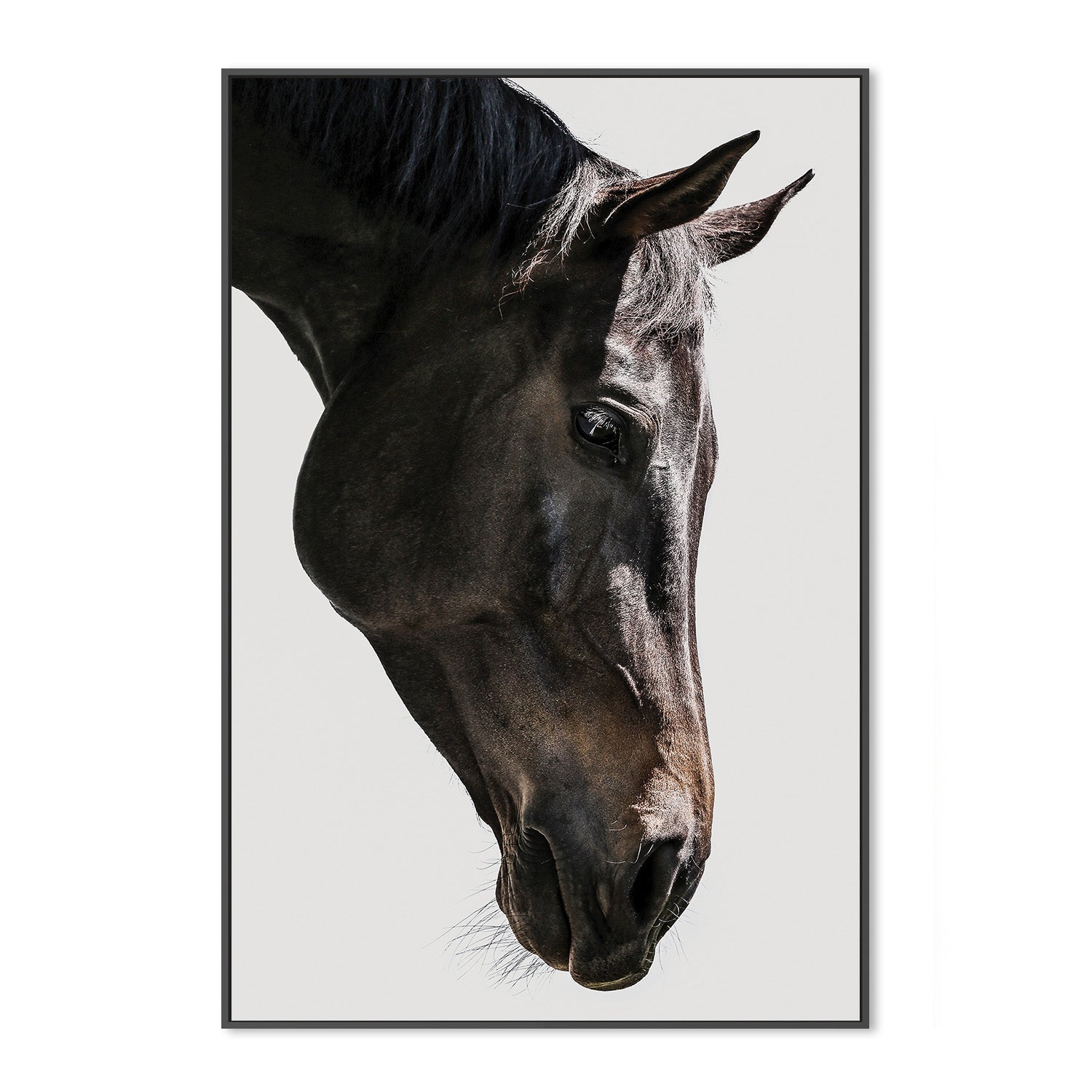 wall-art-print-canvas-poster-framed-Shot by Clint_2518354-3