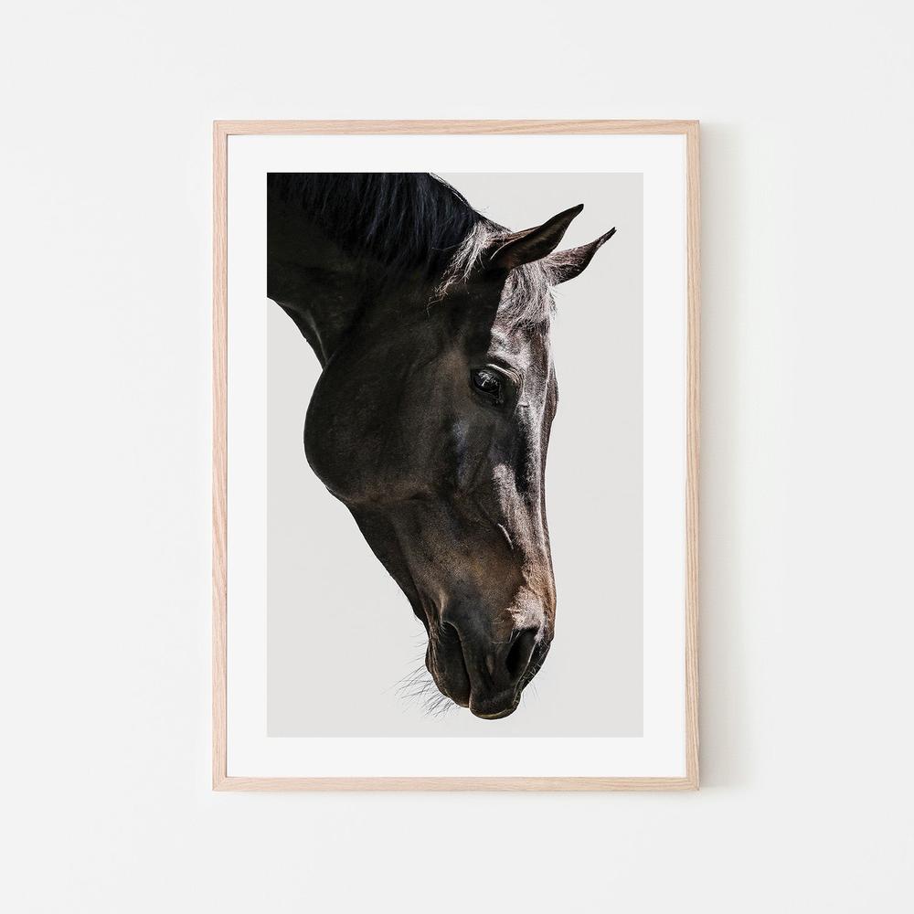 wall-art-print-canvas-poster-framed-Shot by Clint_2518354-6