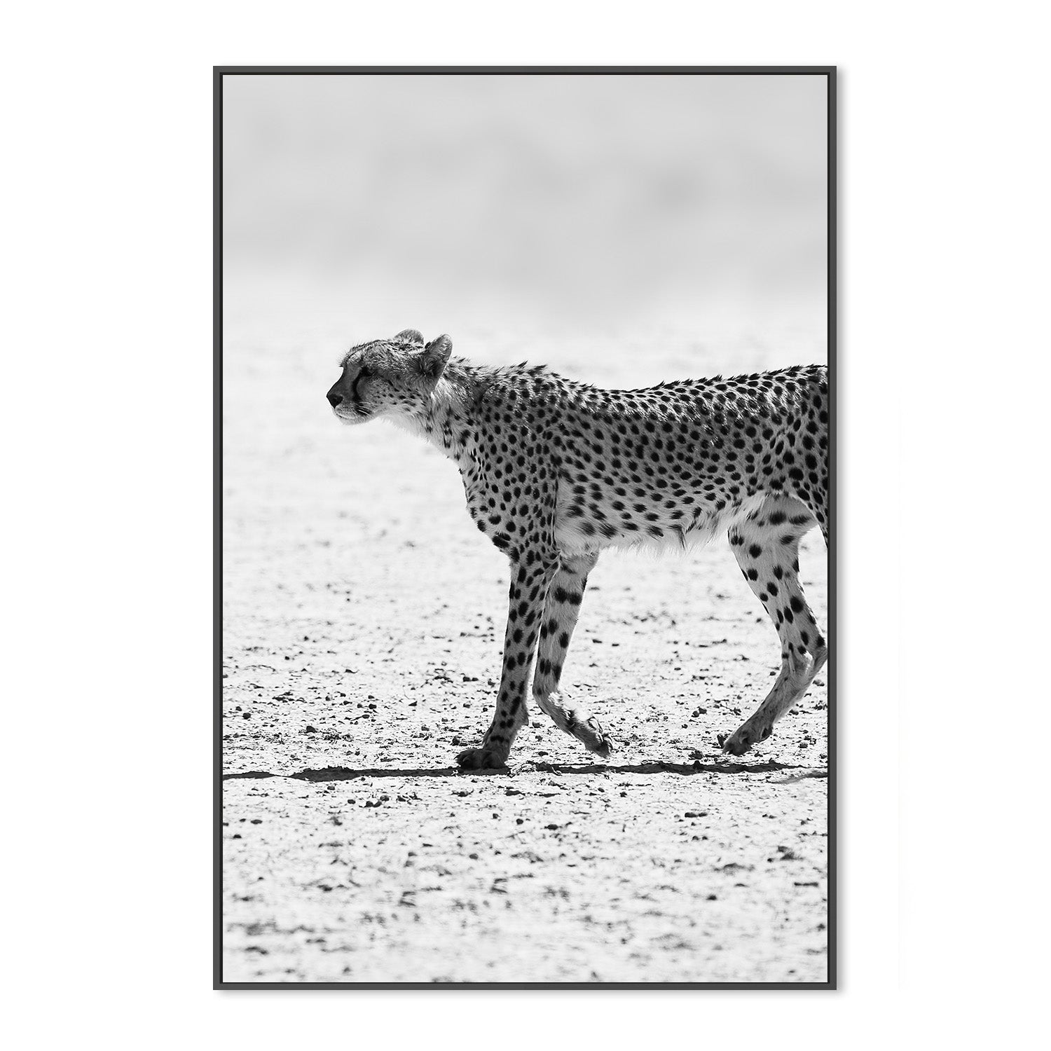 wall-art-print-canvas-poster-framed-Shot by Clint_2518445 (Copy)-3