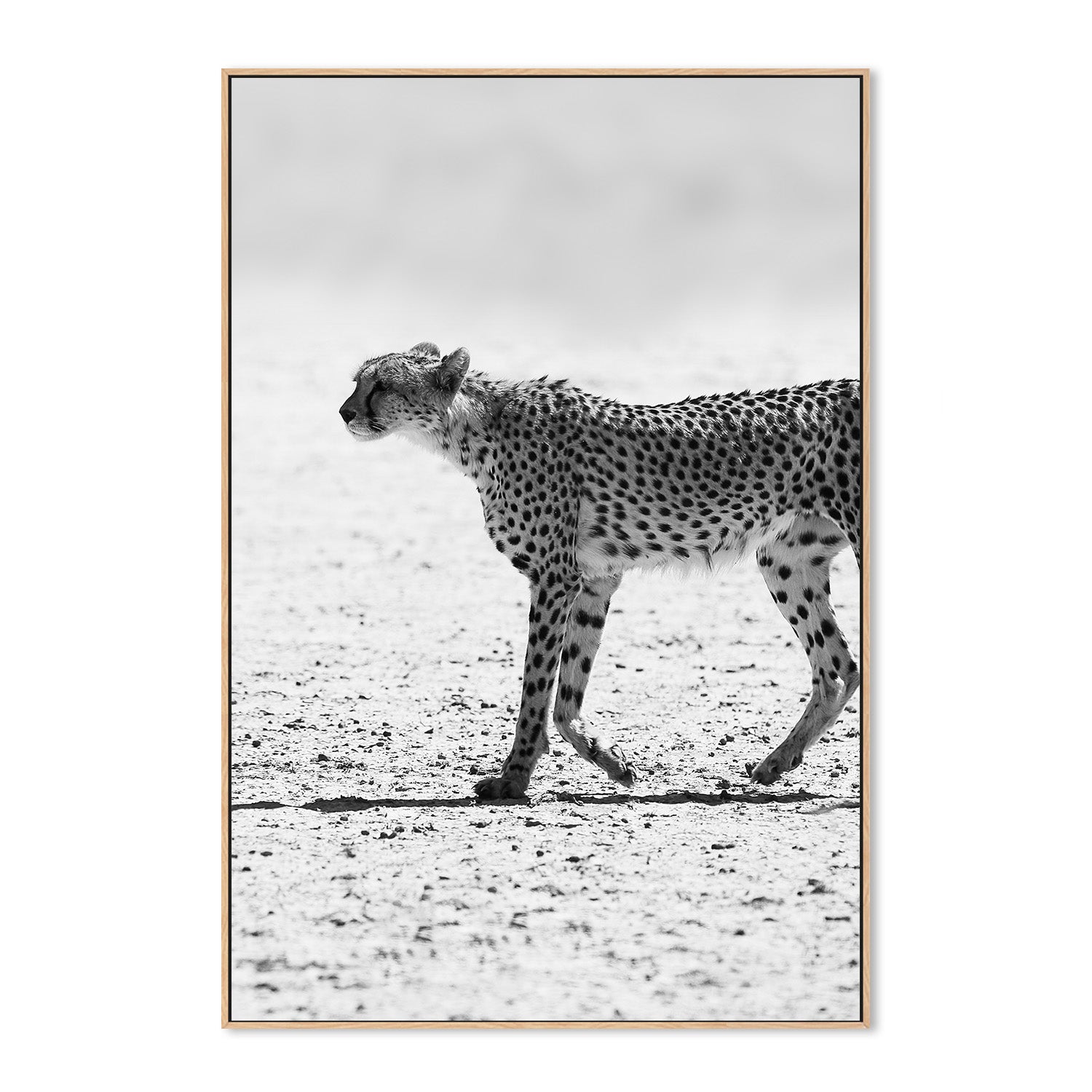 wall-art-print-canvas-poster-framed-Shot by Clint_2518445 (Copy)-4