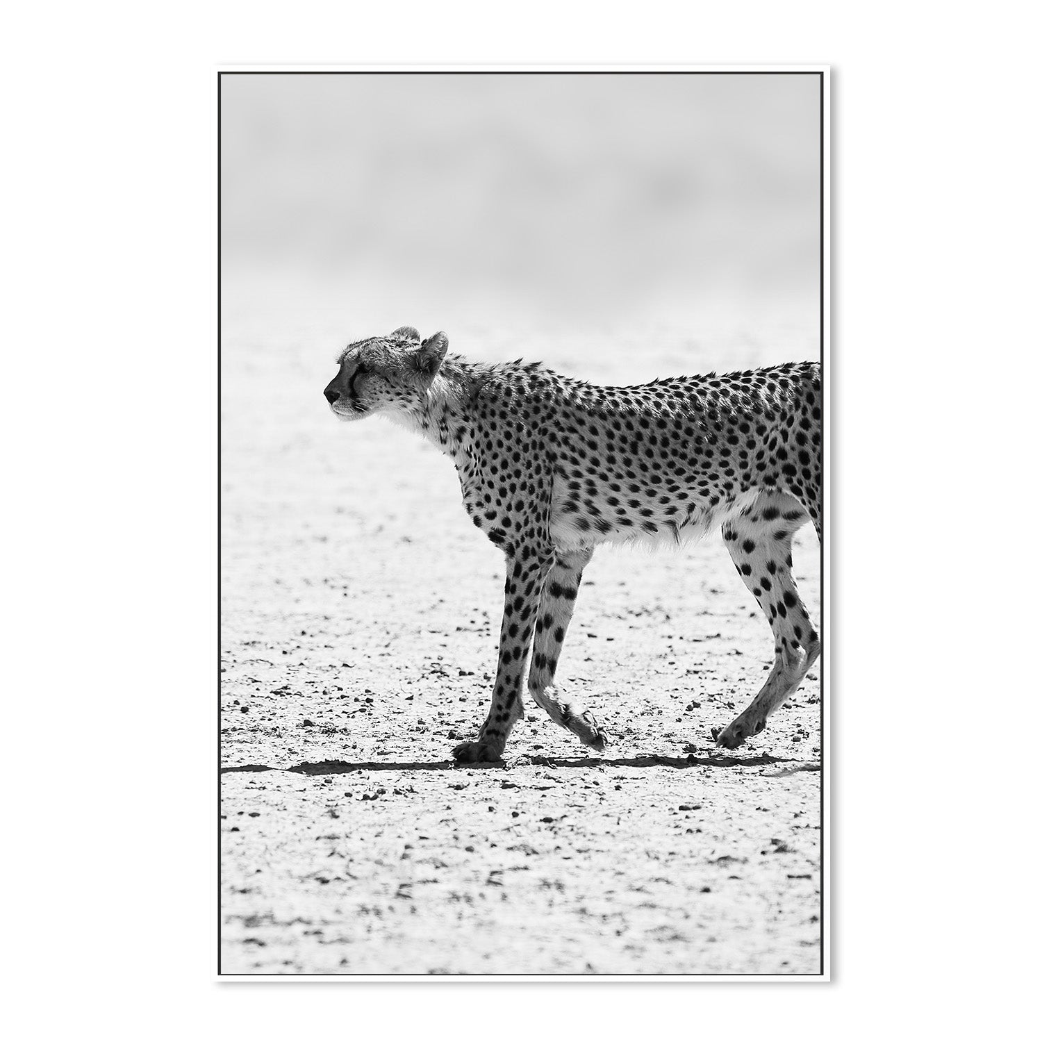 wall-art-print-canvas-poster-framed-Shot by Clint_2518445 (Copy)-5