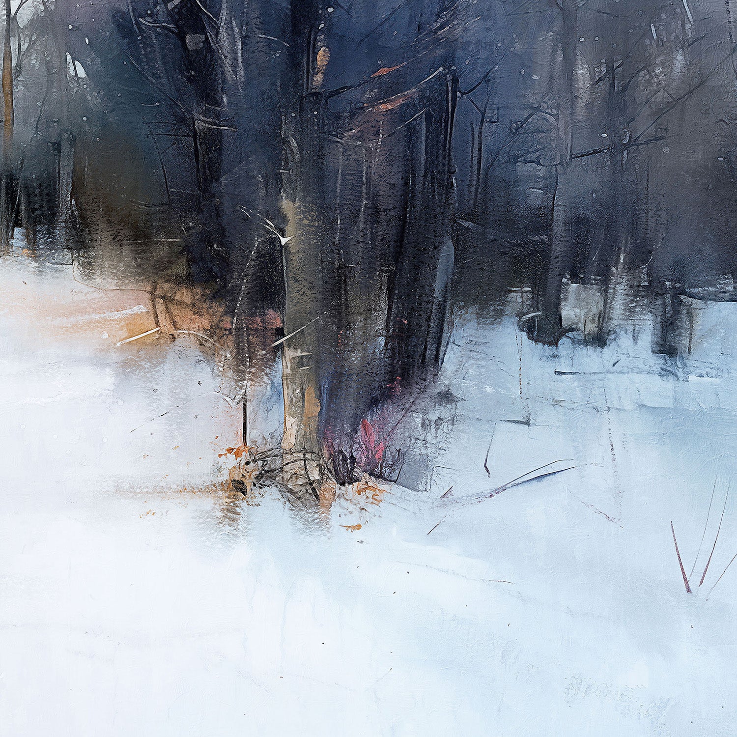 wall-art-print-canvas-poster-framed-Silent Forest-11