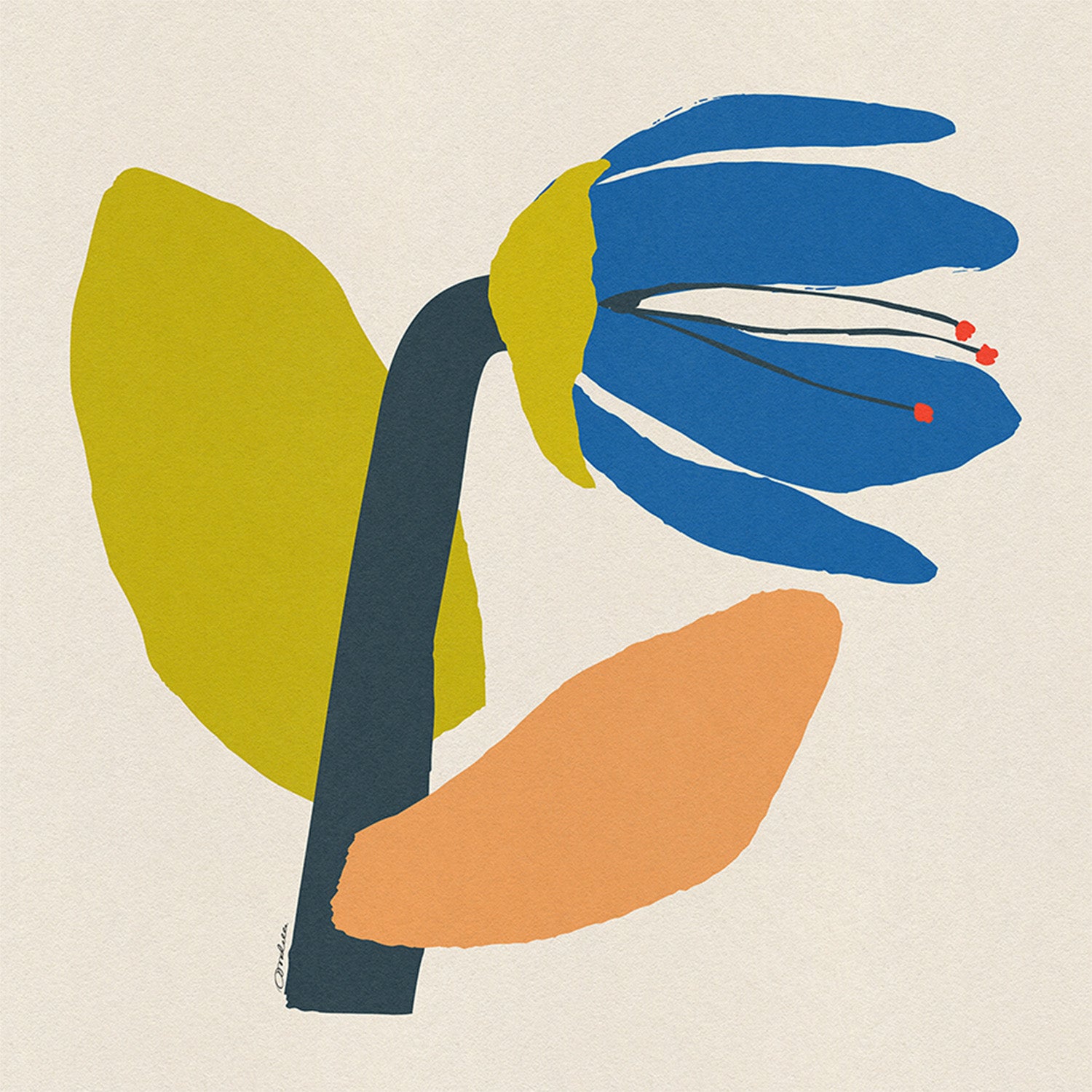 wall-art-print-canvas-poster-framed-Single Blue Flower With Cream Leaf-1