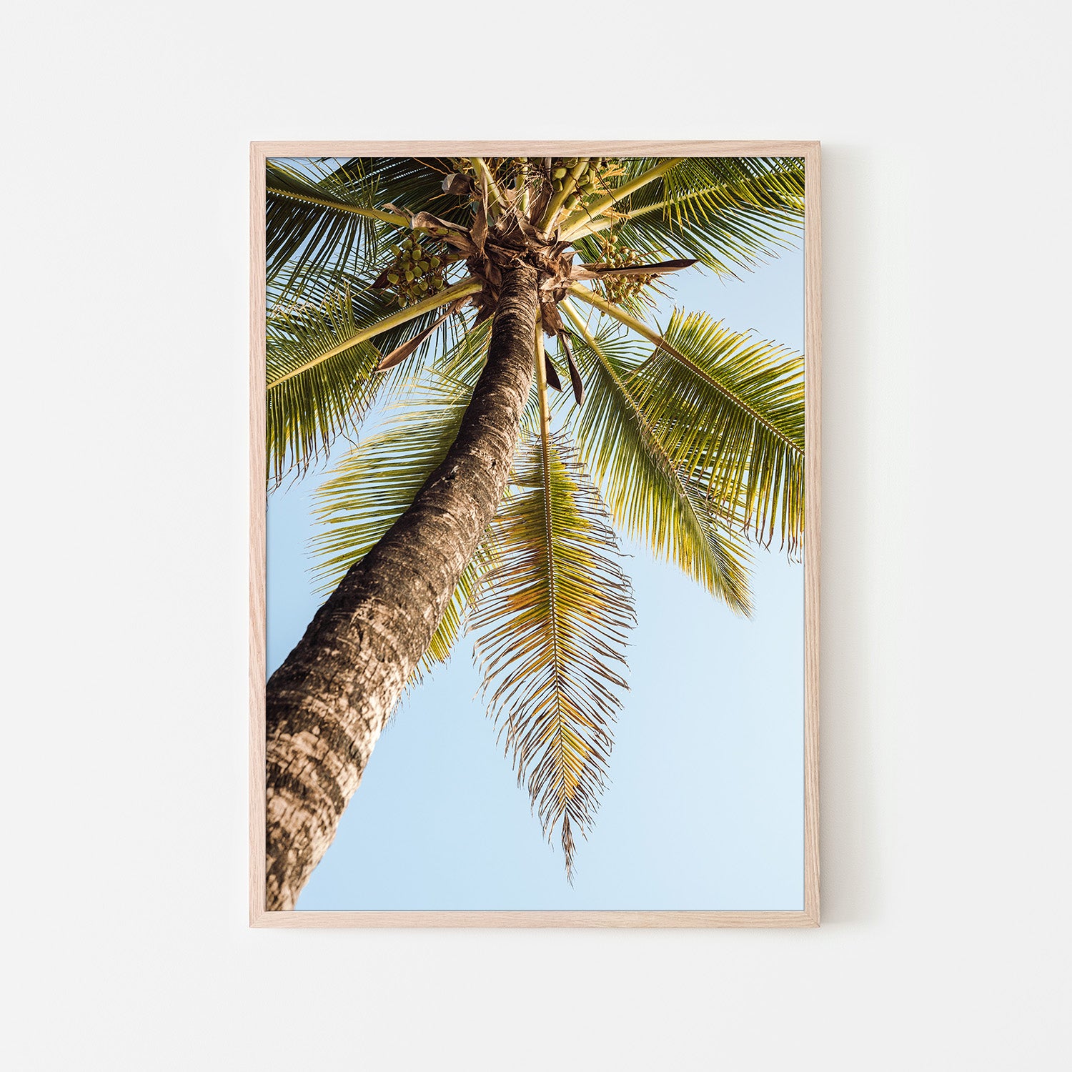 wall-art-print-canvas-poster-framed-Single Palm Tree-6
