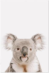 wall-art-print-canvas-poster-framed-Smiling Koala-by-Gioia Wall Art-Gioia Wall Art