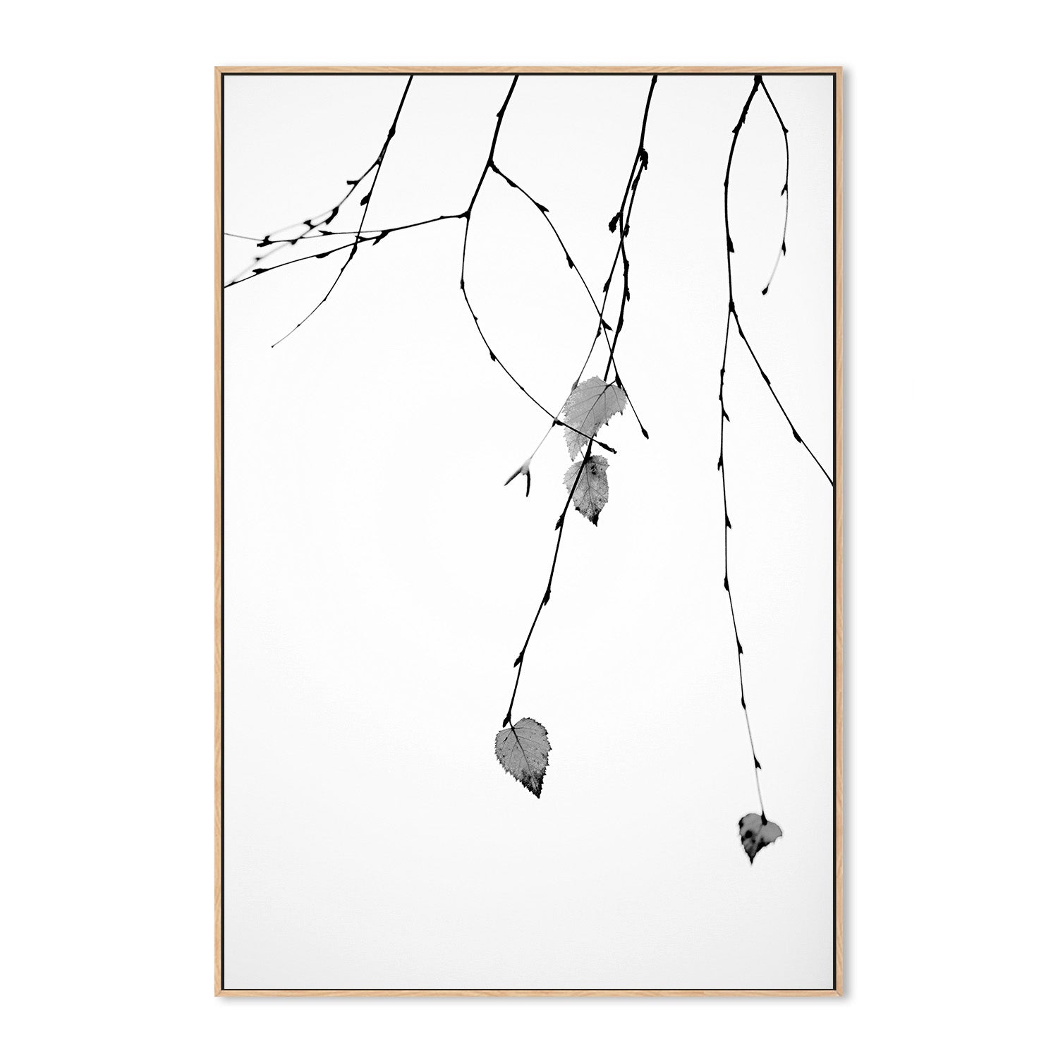 wall-art-print-canvas-poster-framed-Solo-4