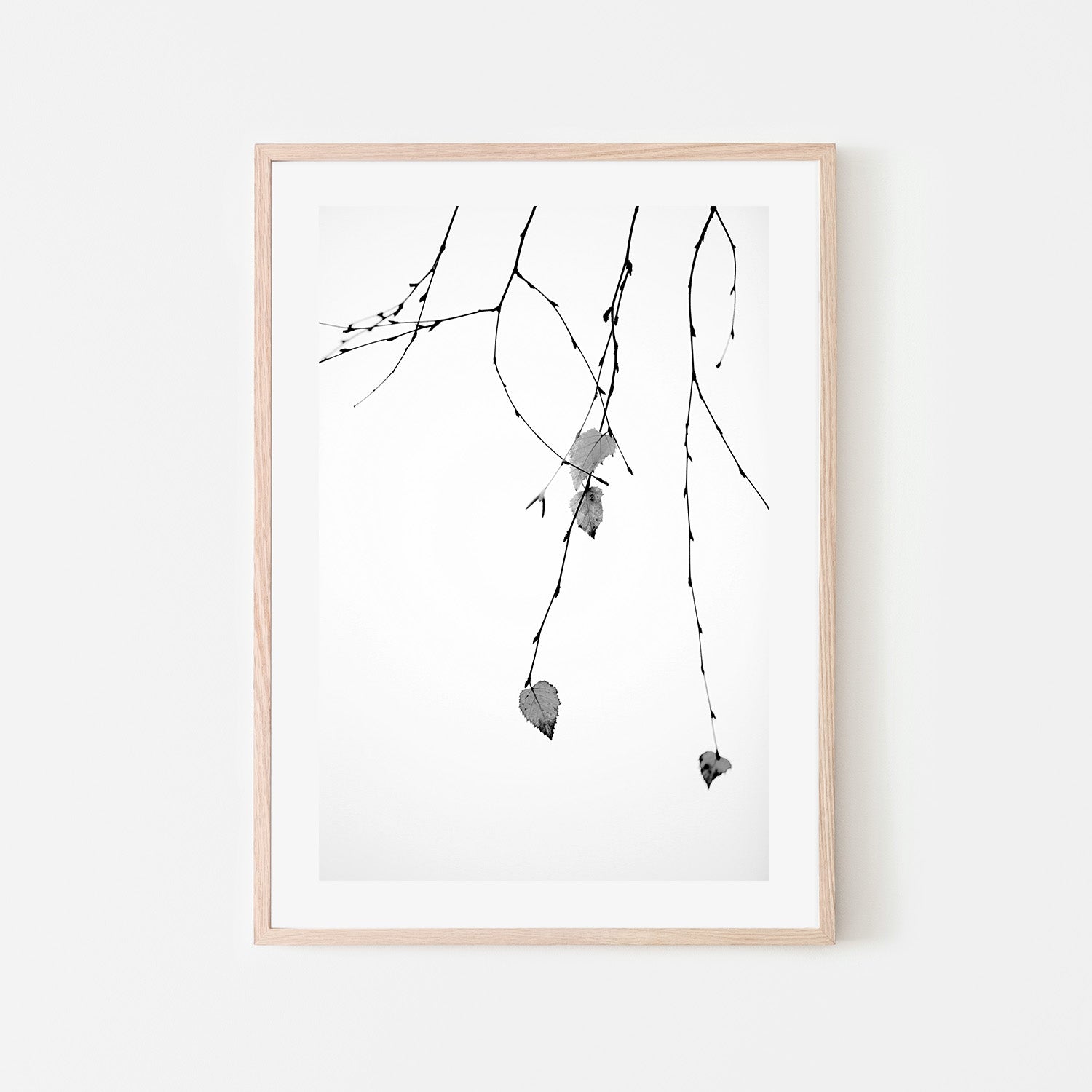 wall-art-print-canvas-poster-framed-Solo-6