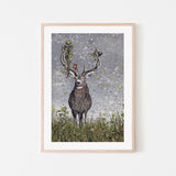 wall-art-print-canvas-poster-framed-Stag , By Maggie Vandewalle-GIOIA-WALL-ART