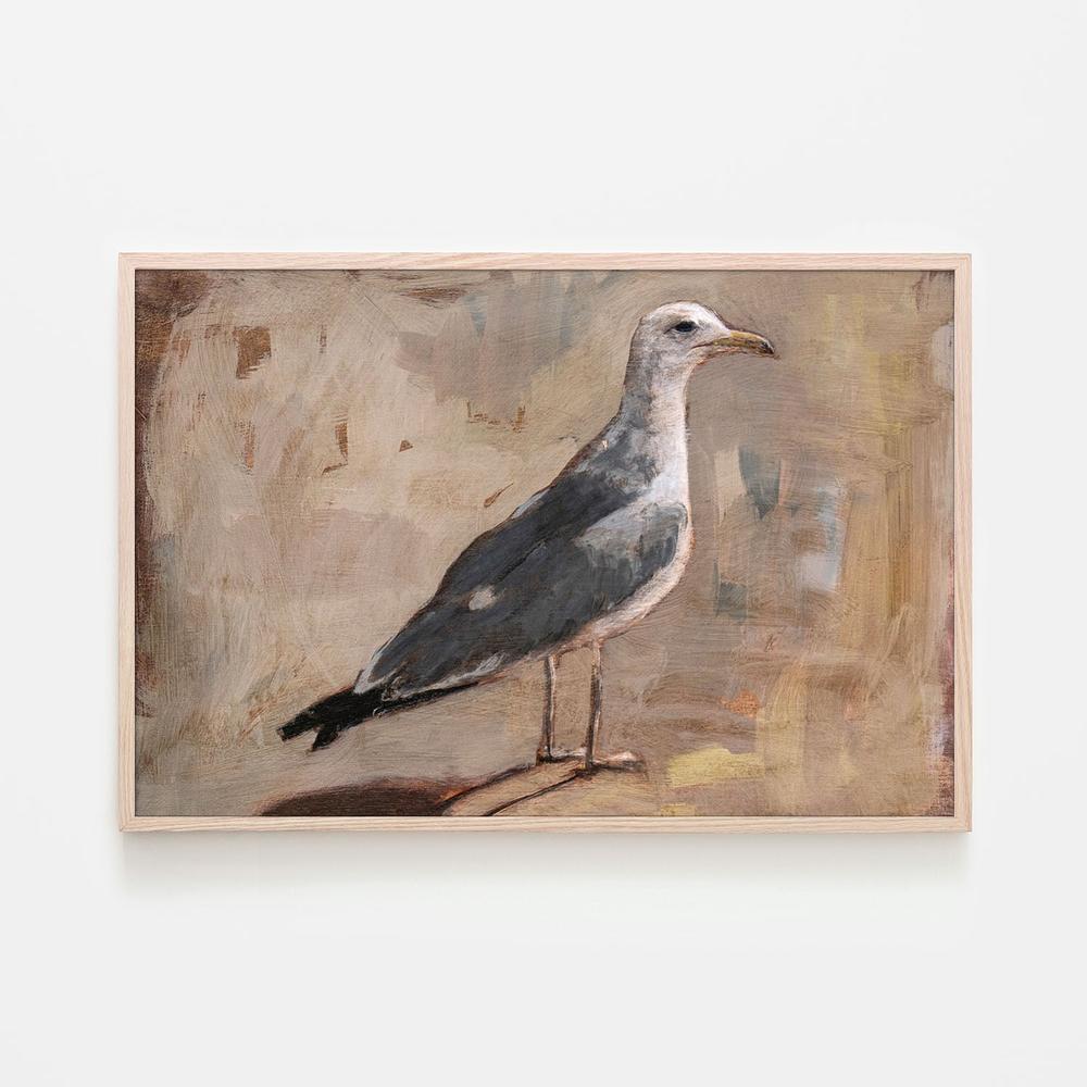 wall-art-print-canvas-poster-framed-Standing Seagull Portrait-6