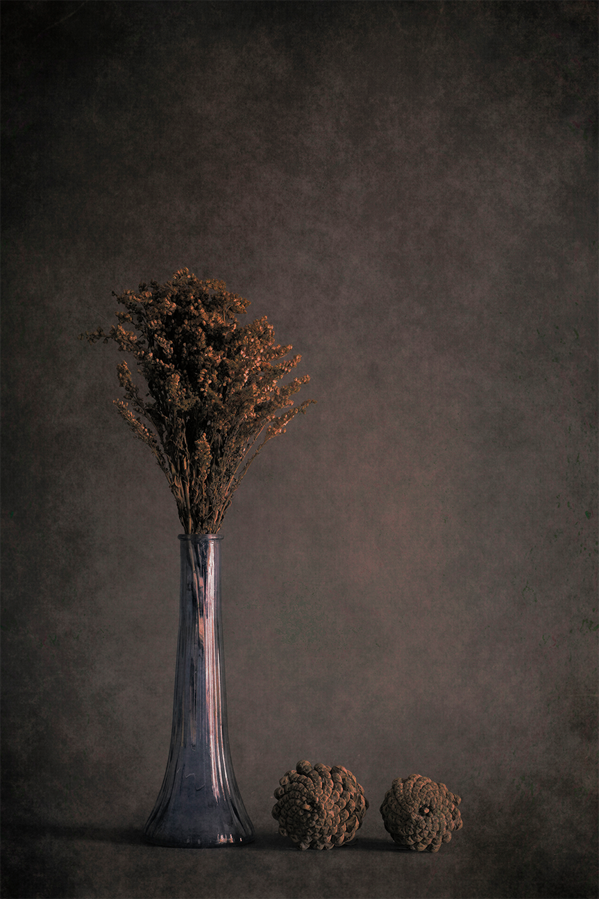 wall-art-print-canvas-poster-framed-Standing Tall-1