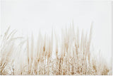 wall-art-print-canvas-poster-framed-Still Dried Stems-by-Gioia Wall Art-Gioia Wall Art
