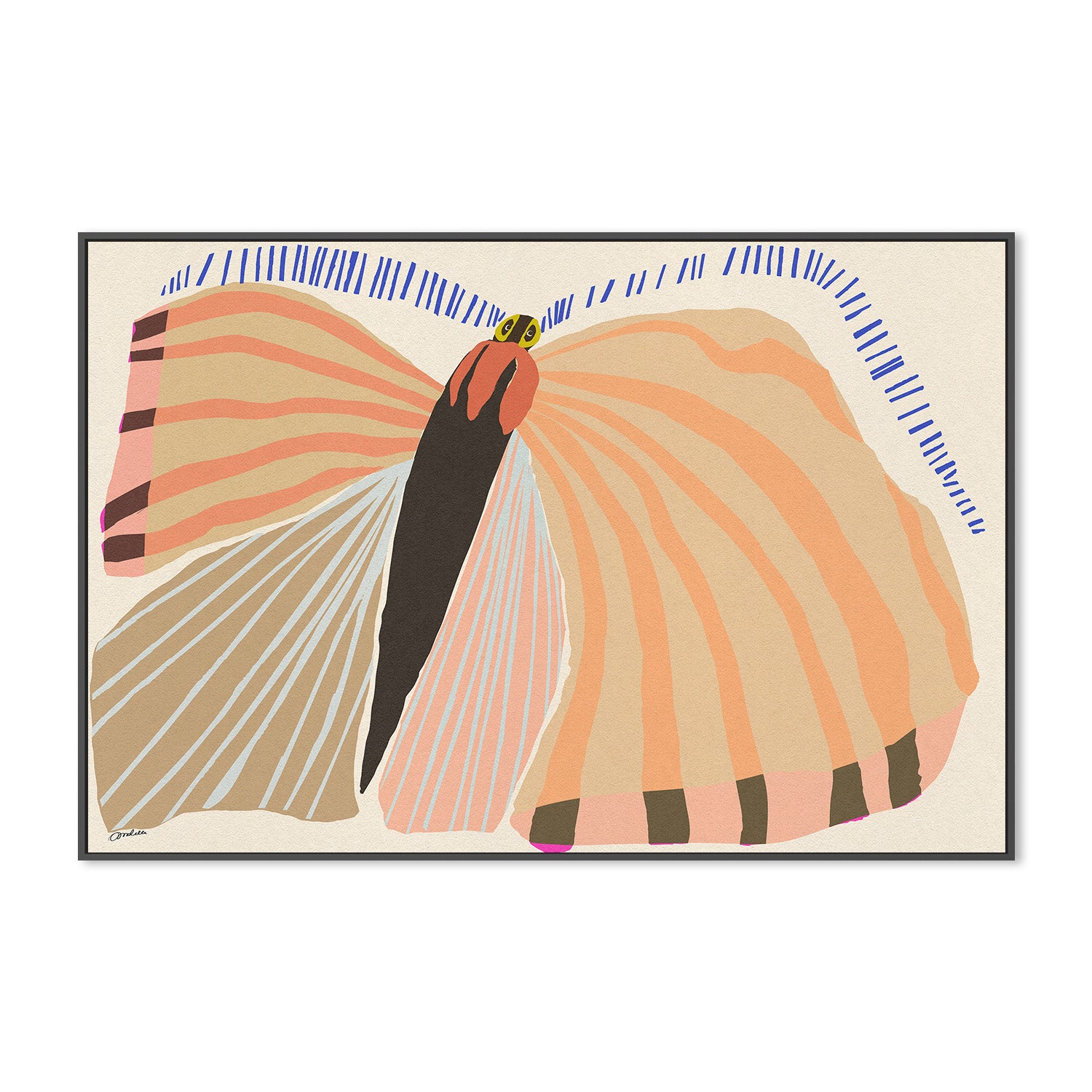 wall-art-print-canvas-poster-framed-Stripped Butterfly-3