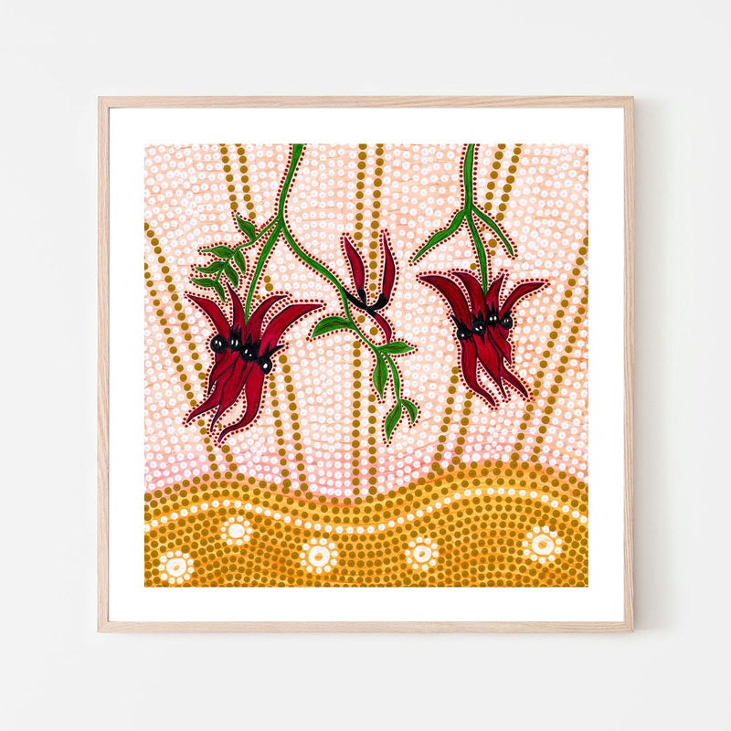 wall-art-print-canvas-poster-framed-Sturts Desert Peas , By Domica Hill-6