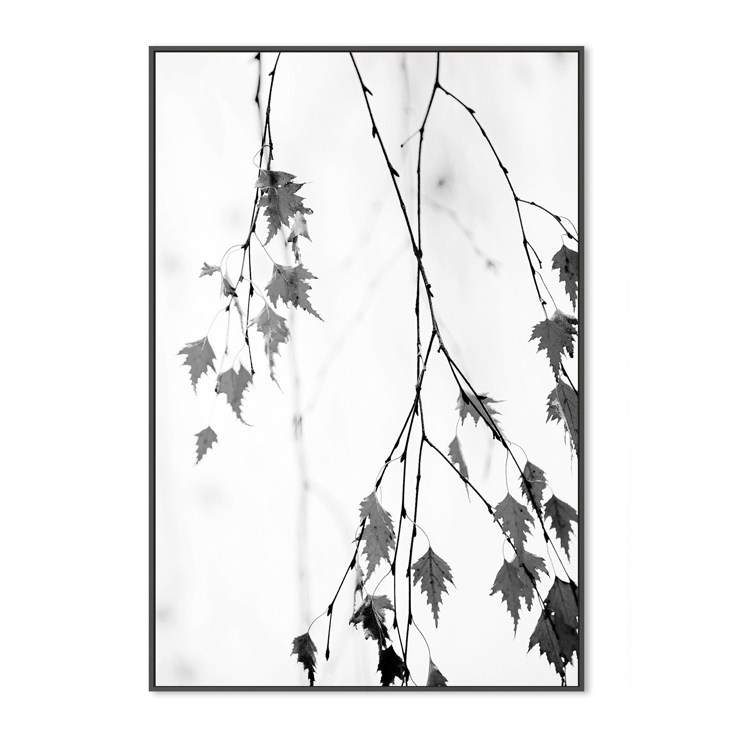 wall-art-print-canvas-poster-framed-Subtle-3