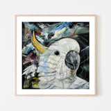wall-art-print-canvas-poster-framed-Sulphur Crested Cockatoo , By Hsin Lin-GIOIA-WALL-ART