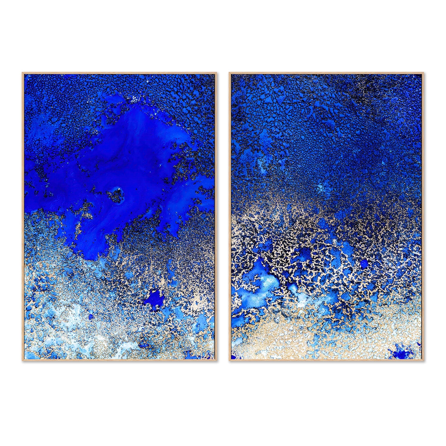 wall-art-print-canvas-poster-framed-Sunlit Reef, Style A & B, Set Of 2 , By Petra Meikle-4