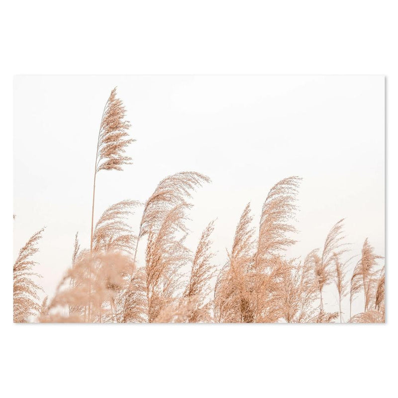 wall-art-print-canvas-poster-framed-Swaying Reeds-by-Gioia Wall Art-Gioia Wall Art