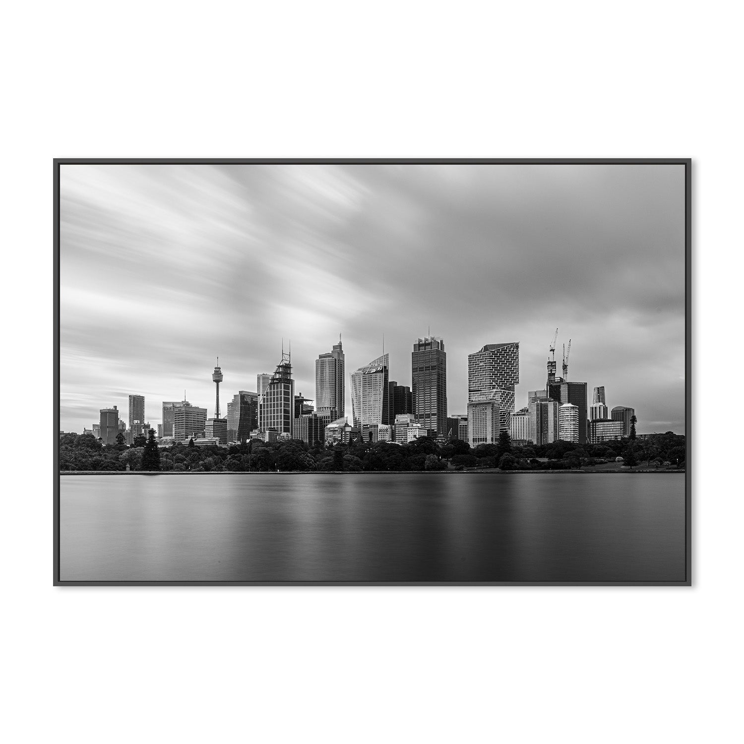 wall-art-print-canvas-poster-framed-Sydney Botanical Garden-3