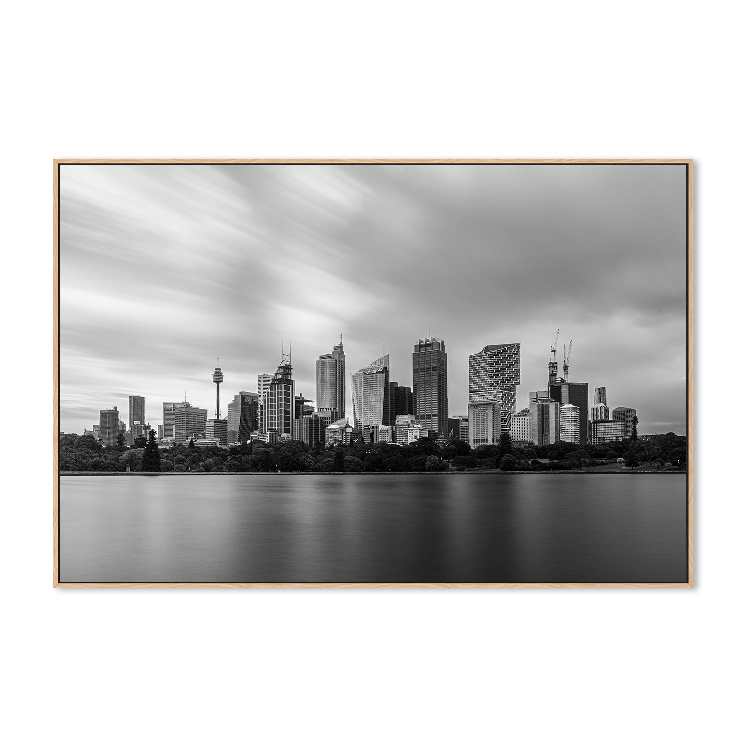 wall-art-print-canvas-poster-framed-Sydney Botanical Garden-4