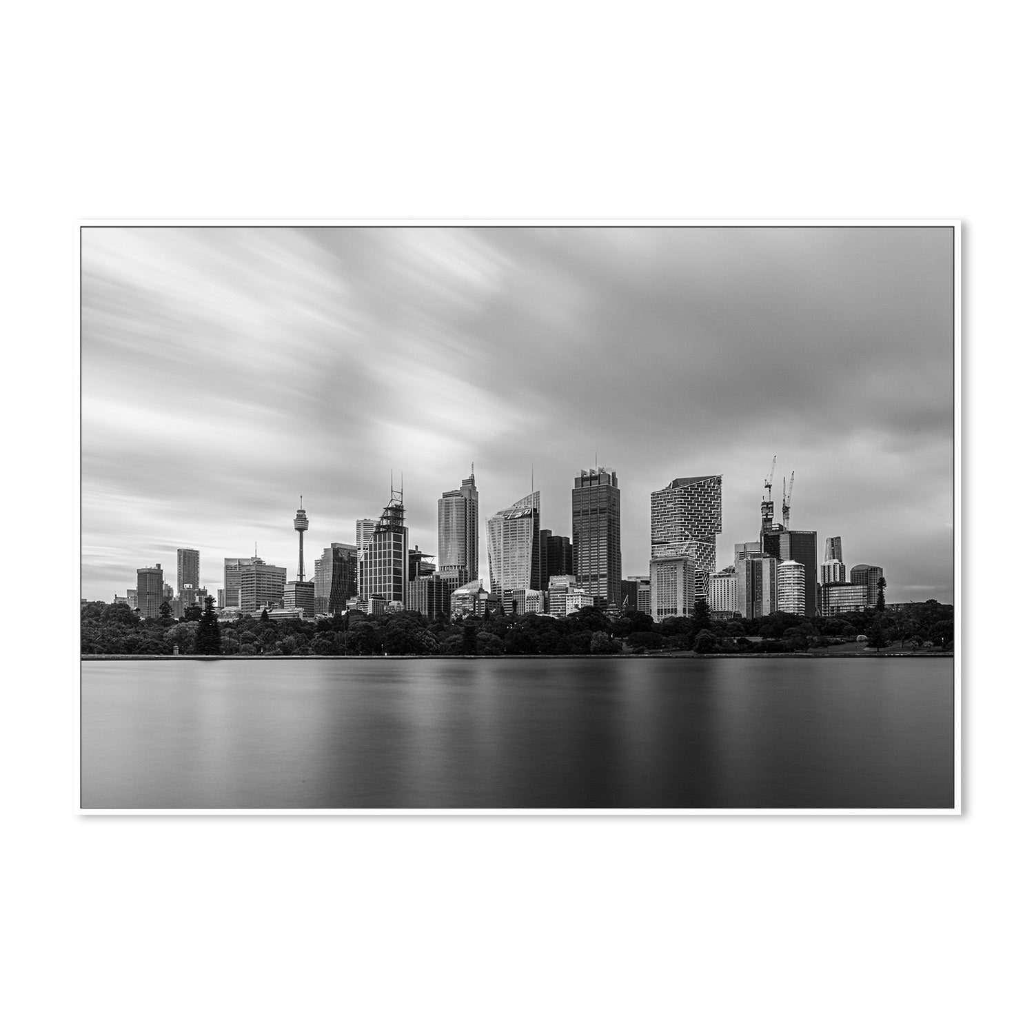 wall-art-print-canvas-poster-framed-Sydney Botanical Garden-5