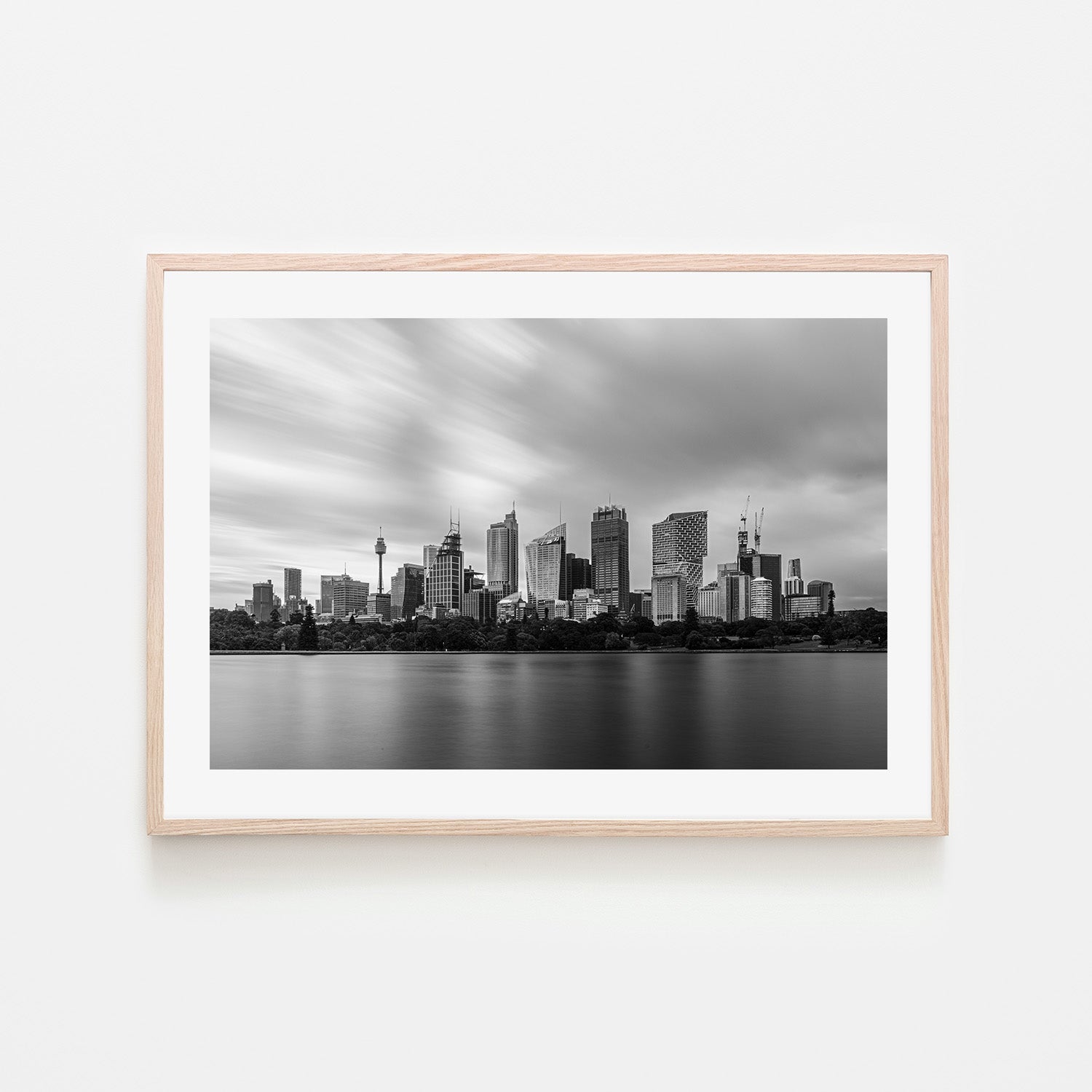 wall-art-print-canvas-poster-framed-Sydney Botanical Garden-6