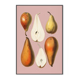 wall-art-print-canvas-poster-framed-The Anatomy Of A Pear-GIOIA-WALL-ART