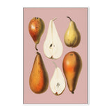 wall-art-print-canvas-poster-framed-The Anatomy Of A Pear-GIOIA-WALL-ART