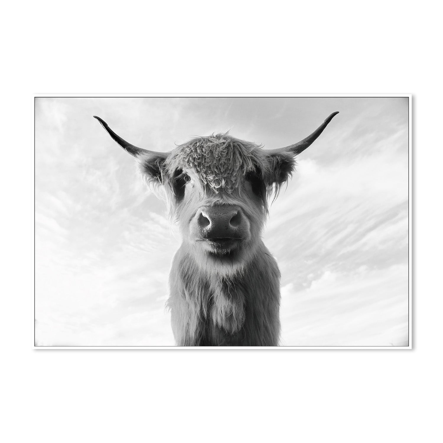 wall-art-print-canvas-poster-framed-The Boss , By Belinda Gerace-5