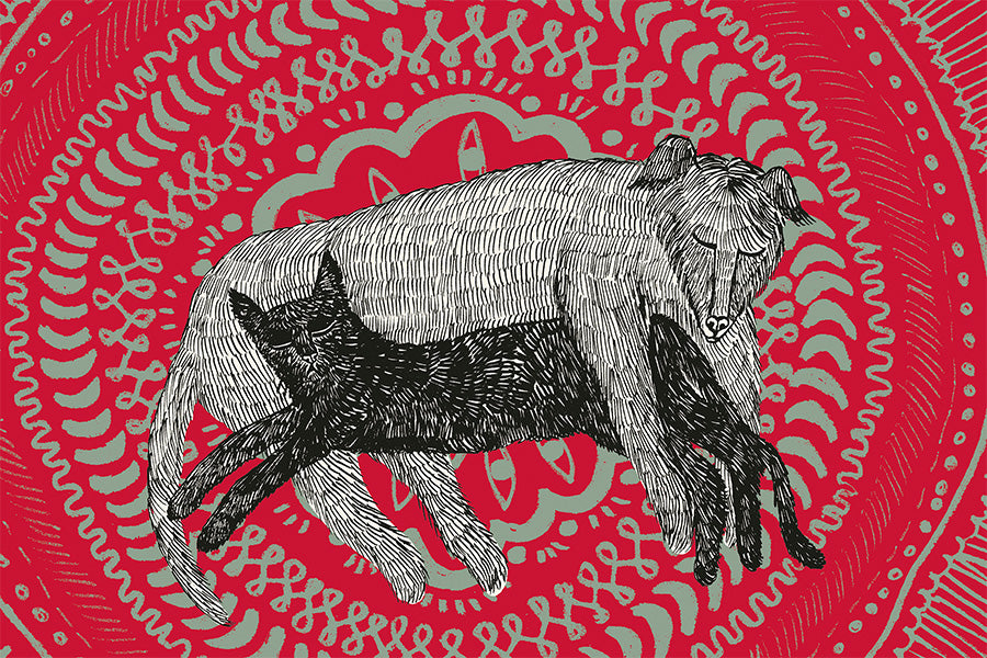 wall-art-print-canvas-poster-framed-The Cat and The Dog-1