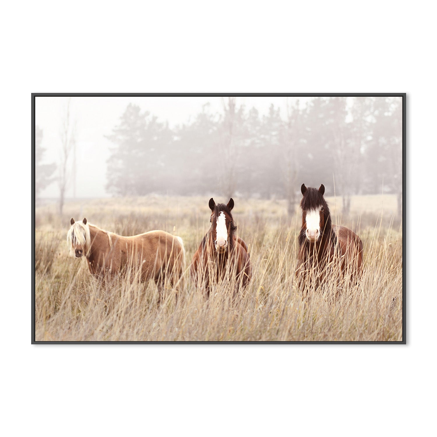wall-art-print-canvas-poster-framed-The Gang , By Belinda Gerace-3