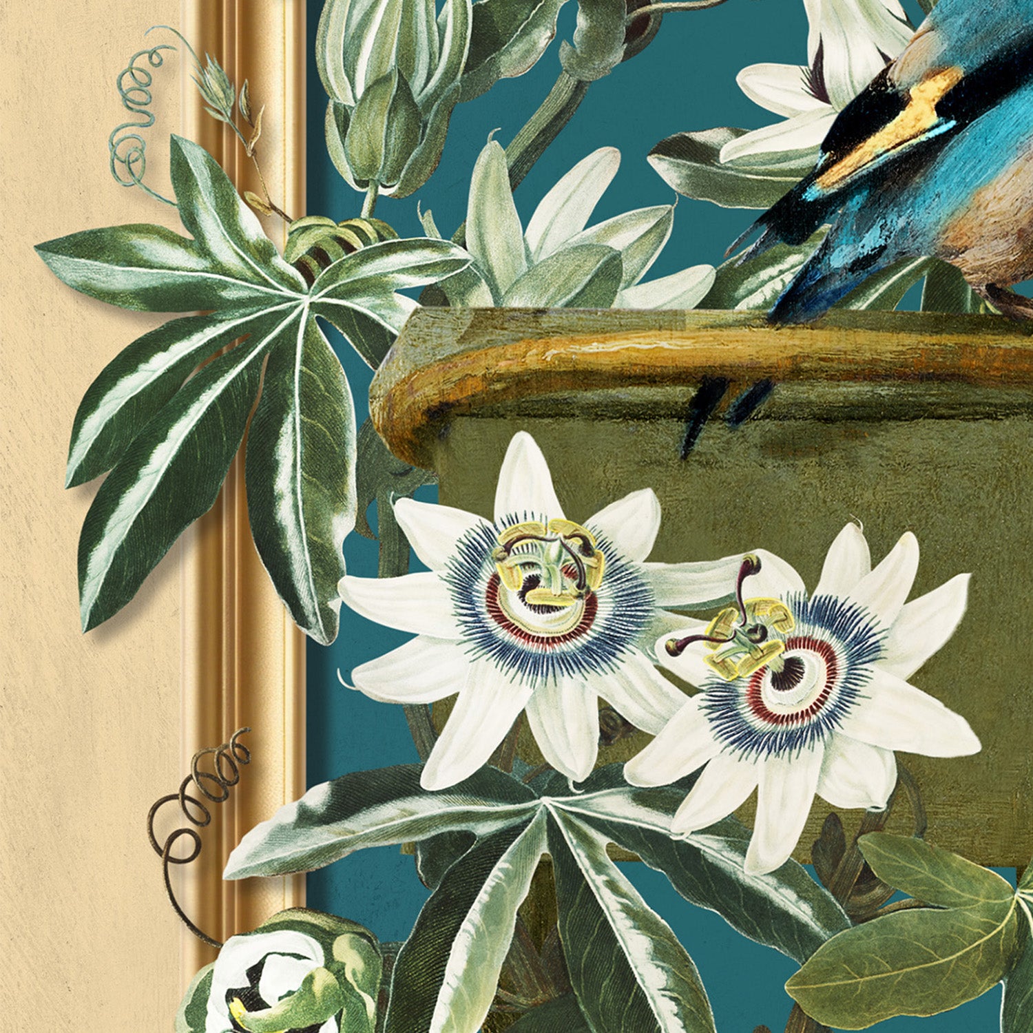 wall-art-print-canvas-poster-framed-The Goldfinch and the Passion Flowers-10
