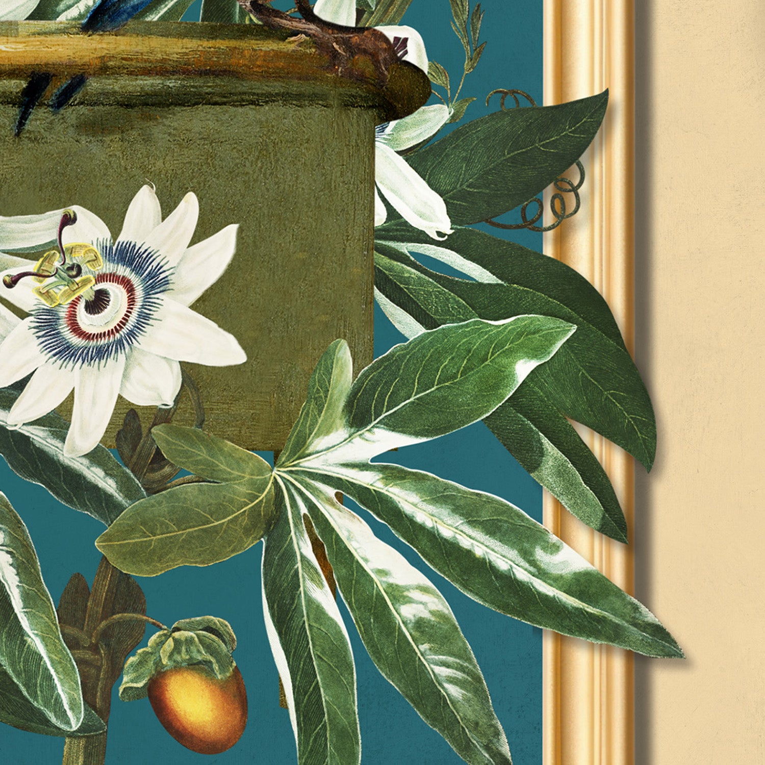 wall-art-print-canvas-poster-framed-The Goldfinch and the Passion Flowers-11