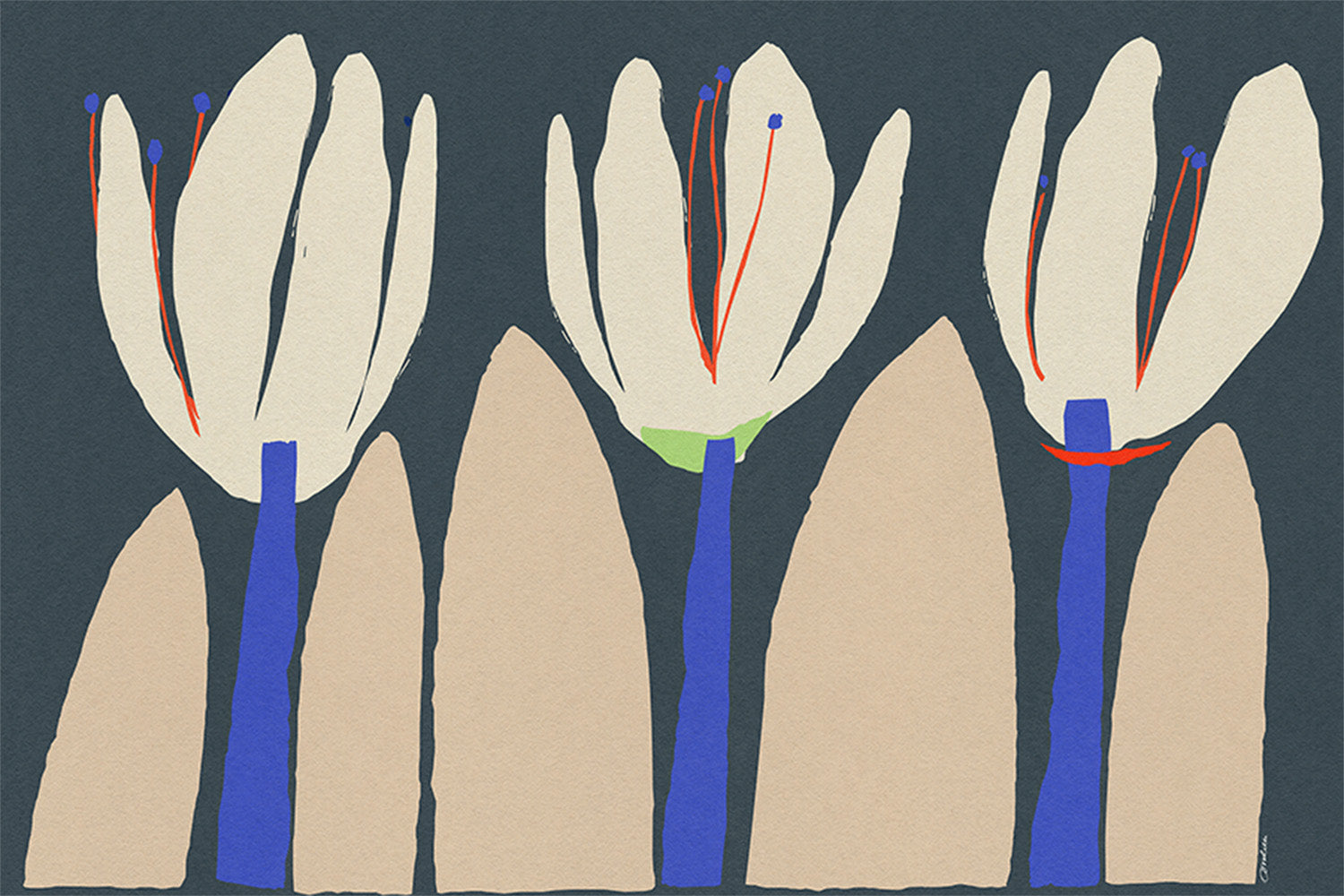 wall-art-print-canvas-poster-framed-Three Flowers On Dark Blue-1