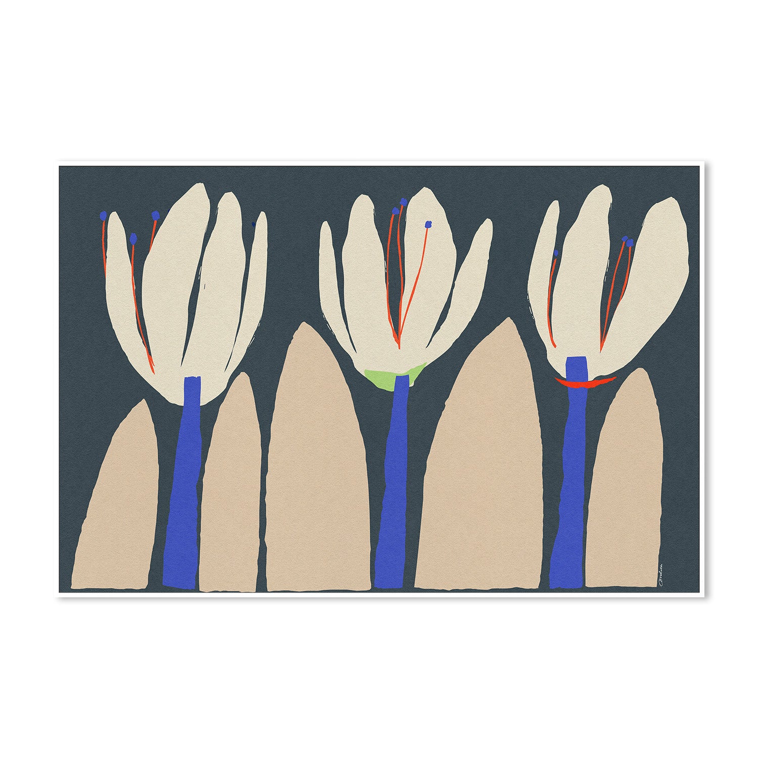 wall-art-print-canvas-poster-framed-Three Flowers On Dark Blue-5