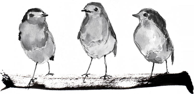 wall-art-print-canvas-poster-framed-Three Robins On A Branch , By Danushka Abeygoda-1