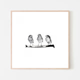 wall-art-print-canvas-poster-framed-Three Robins On A Branch , By Danushka Abeygoda-6