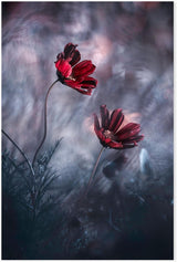 wall-art-print-canvas-poster-framed-Together Again, By Fabien Bravin-GIOIA-WALL-ART