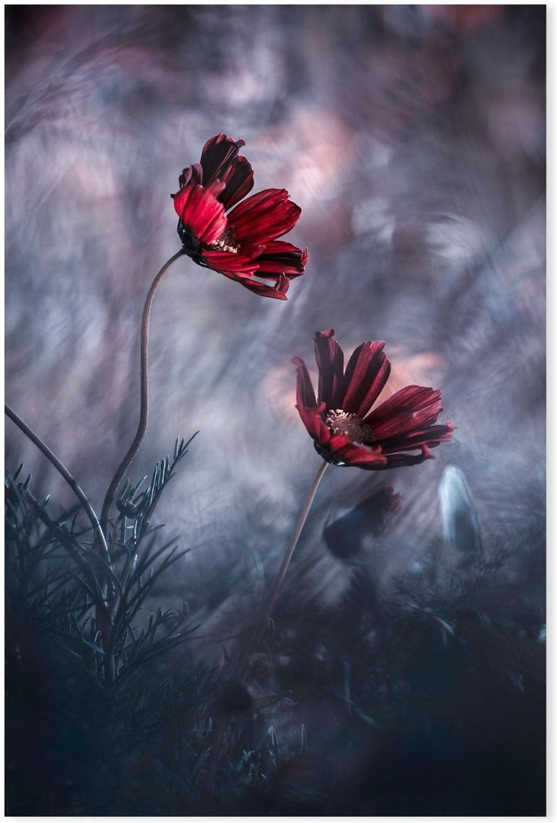 wall-art-print-canvas-poster-framed-Together Again, By Fabien Bravin-GIOIA-WALL-ART