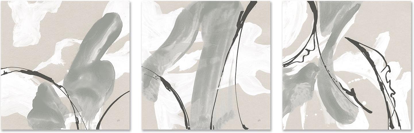 wall-art-print-canvas-poster-framed-Touch of Grey, Set of 3-by-Chris Paschke-Gioia Wall Art