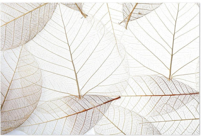 wall-art-print-canvas-poster-framed-Translucent Leaves-by-Gioia Wall Art-Gioia Wall Art