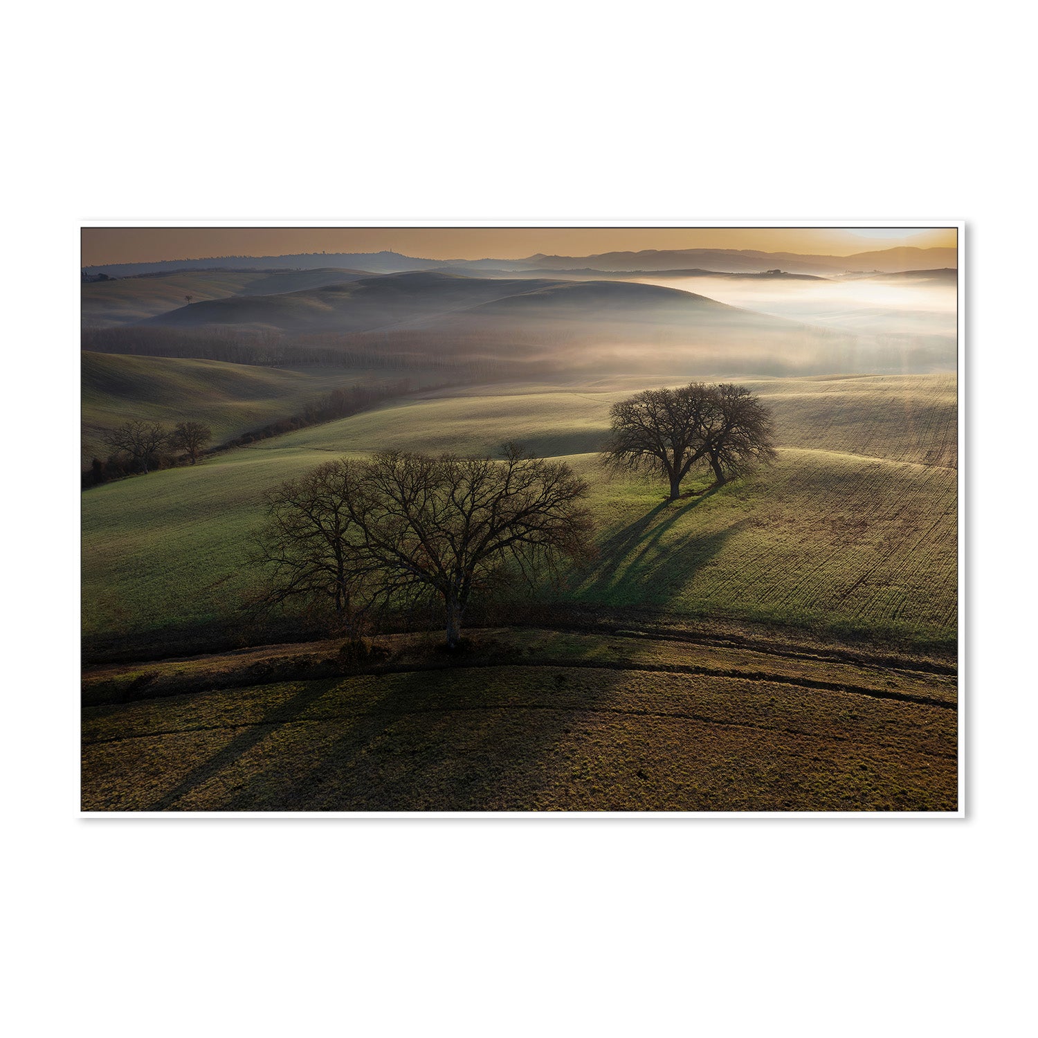 wall-art-print-canvas-poster-framed-Tuscan Morning-5