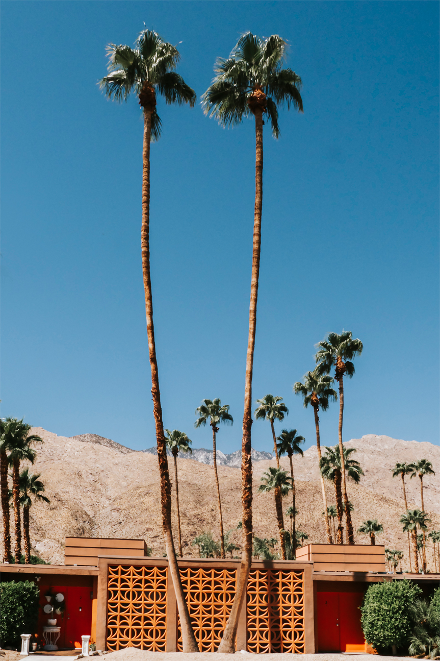wall-art-print-canvas-poster-framed-Two Palms-1